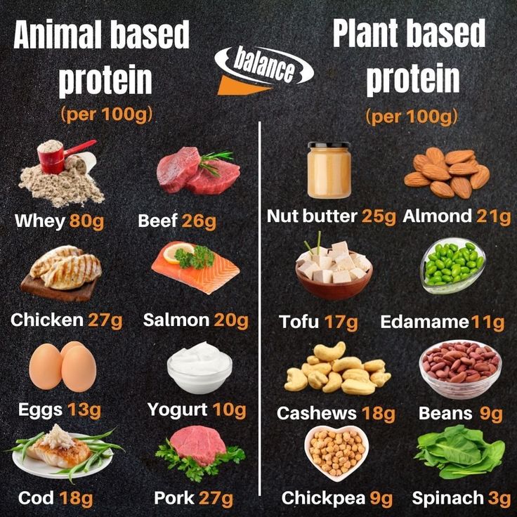 protein rich foods